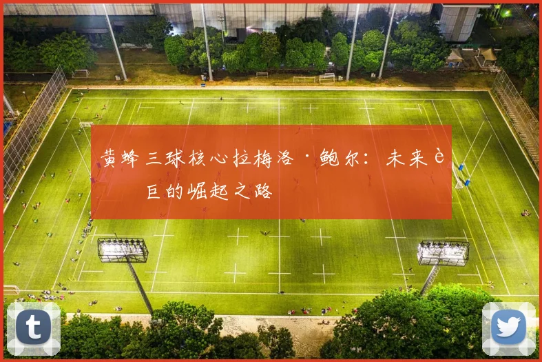 黄蜂三球核心拉梅洛·鲍尔：未来超巨的崛起之路