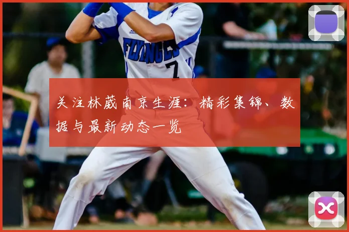 关注林葳南京生涯：精彩集锦、数据与最新动态一览