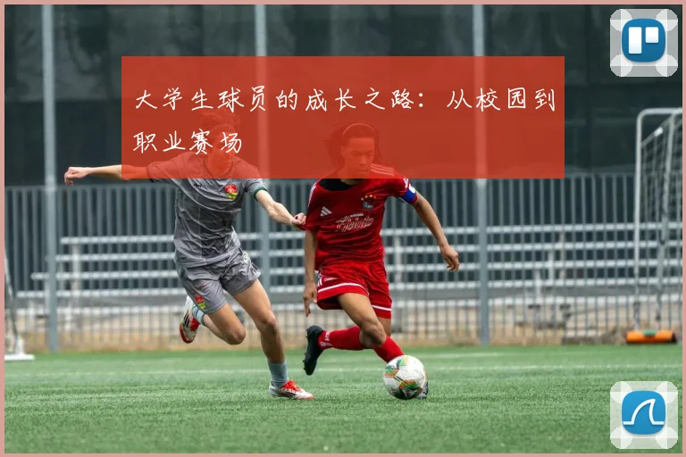 大学生球员的成长之路:从校园到职业赛场