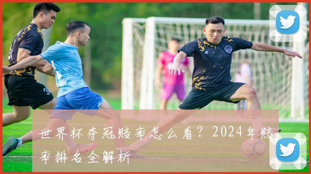 世界杯夺冠赔率怎么看？2024年赔率排名全解析