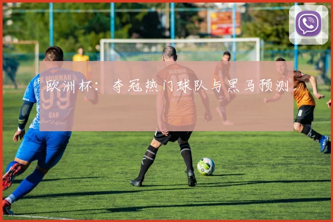 欧洲杯:夺冠热门球队与黑马预测