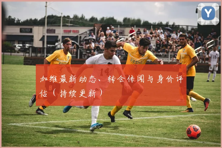 加维最新动态、转会传闻与身价评估（持续更新）